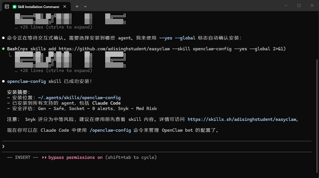 Skill 安装完成截图